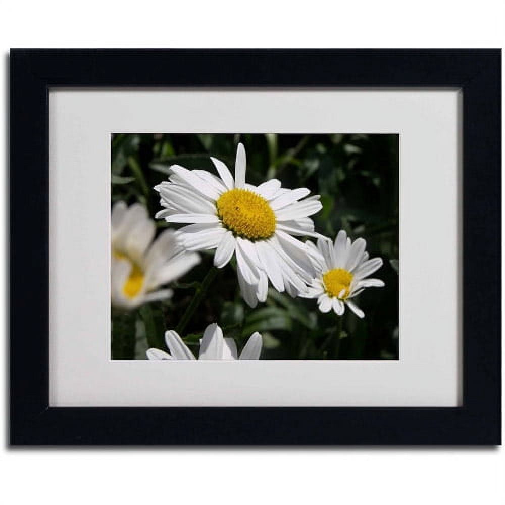 Trademark Fine Art "Dominating Beauty" Canvas Art by Monica Fleet, Black Frame