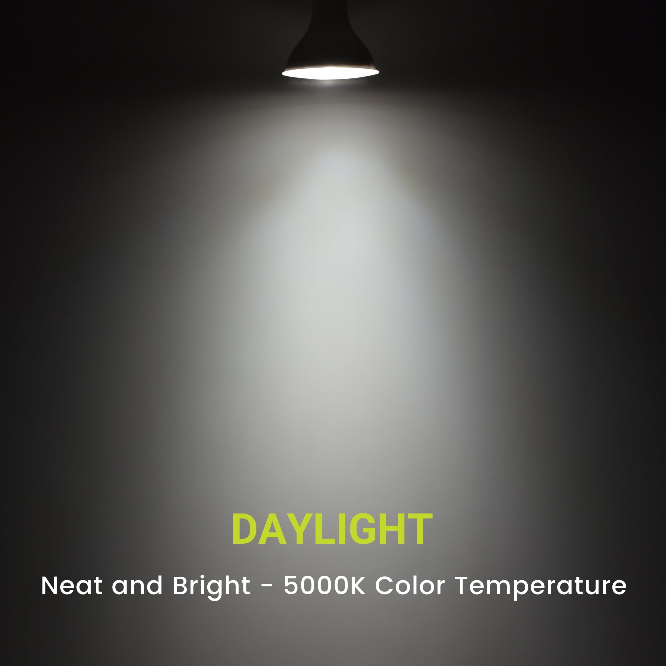 Green Watt PAR30 LED Bulb, 11-Watt (75W Equivalent) 5000K Daylight White, Dimmable, E26 Base (6-Pack)