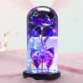 thumbnail image 7 of Danhjin Forever Rose, Colorful Luminous Flower in Glass Cover for Women Valentine's Day Gifts for Mom Anniversary and Birthday as Home Decor, 7 of 7