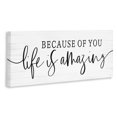 thumbnail image 2 of Stupell Industries Farmhouse Because Of You Life Is Amazing Canvas Art, 30 x 13, by Lux + Me Designs, 2 of 8