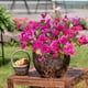 thumbnail image 4 of Eoozwa 1 Packs Artificial Flowers 7-Head Bouquet Realistic Silk Floral Stems for Home Decor Wedding Centerpieces and Outdoor Garden Photography Props Long-Lasting Spring Collection, 4 of 6