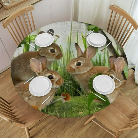 

Palnkart Rabbits Easter Eggs Beatrix Potter Round Table Cover Stain Resistant Washable Indoor Outdoor Kitchen Dining Wedding Parties Tablecloth 100% Polyester Fiber 42-46