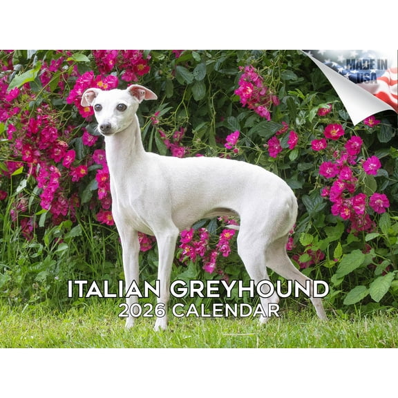 2025 2026 Italian Greyhound Calendar - Dog Breed Monthly Wall Calendar - 12 x 18 Open - Thick No-Bleed Paper - Giftable - Made in USA