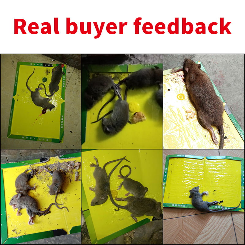 Deago 10 Pack Large Mouse Glue Traps with Enhanced Stickiness Snake Rat Mouse Traps Sticky Pad Board for House Indoor Outdoor, Green