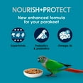 thumbnail image 4 of Kaytee Forti-Diet Pro Health Nourish+Protect Parakeet Food 4 pounds, 4 of 14