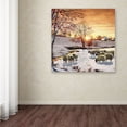 thumbnail image 3 of Trademark Fine Art 'Winter Sheep II' Canvas Art by The Macneil Studio, 3 of 3