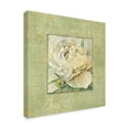 thumbnail image 2 of Trademark Fine Art 'Quiet Petals II' Canvas Art by Lisa Audit, 2 of 3
