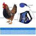 thumbnail image 3 of Arnés de pollo ajustable con correa, cómodo chaleco para gallina, malla transpirable, 3 of 5