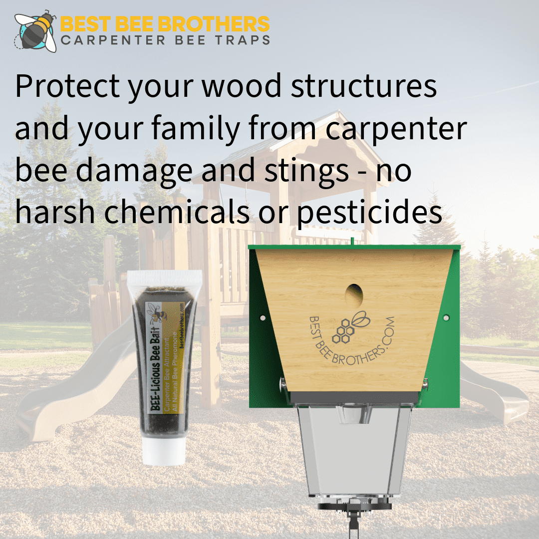 Best Bee Brothers Bee-licious Outdoor Carpenter Bees Bait, 3 Pack