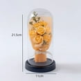 thumbnail image 3 of Valentines Day Gifts For Girlfriend & Wife, Girlfriend Presents,Cool Gifts To Get Your Girlfriend,Preserved Rose Night Light in Glass/ Dome,Valentine's Day Decorations, 3 of 4