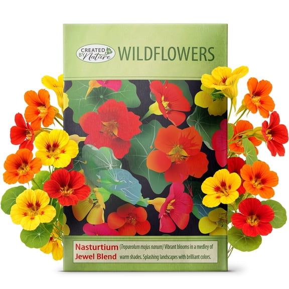 Created By Nature, Nasturtium Seeds, Jewel Blend, Red, Orange, and Yellow Wildflower Seeds, Non-GMO Pollinator Seed Mix, 225 Annual Flower Seeds (Tropaeolum majus nanum)