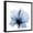 Black Frame, variant on Art.com Indigo Hibiscus Art Print by Albert Koetsier, 16" x 16"