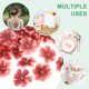 thumbnail image 4 of Uxcell 100 Paquete Cabezas de Flores Artificiales Cabeza de Ciruelo de Seda Falsa Rojo Vino, 4 of 7
