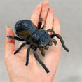 thumbnail image 6 of STPToys Fake Wind-Up Spider Model,Brown Creative Halloween Prank Props Decor, Novel Interactive Ornament for Party Favors, 6 of 7