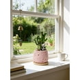 thumbnail image 6 of Lucky Bamboo Style Desk Decor Set with Tray and Pebbles, 5-Stem Arrangement with Panda Figurine, Modern Zen Desktop Decoration for Home Office, Low Maintenance Decorative Accent Gift（Pink）, 6 of 9