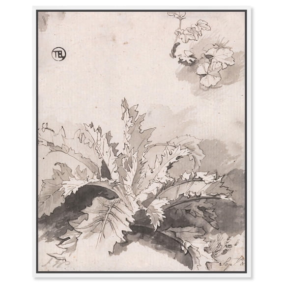 Study of a Thistle Canvas Classic Sketches by Art Remedy, White Frame, 30" x 36"