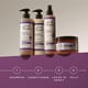 thumbnail image 2 of Carol's Daughter Black Vanilla Moisture &amp; Shine Sulfate Free Shampoo For Dry Hair and Dull Hair, with Aloe and Rose, Paraben Free Shampoo, 12 fl oz (Packaging May Vary), 2 of 9