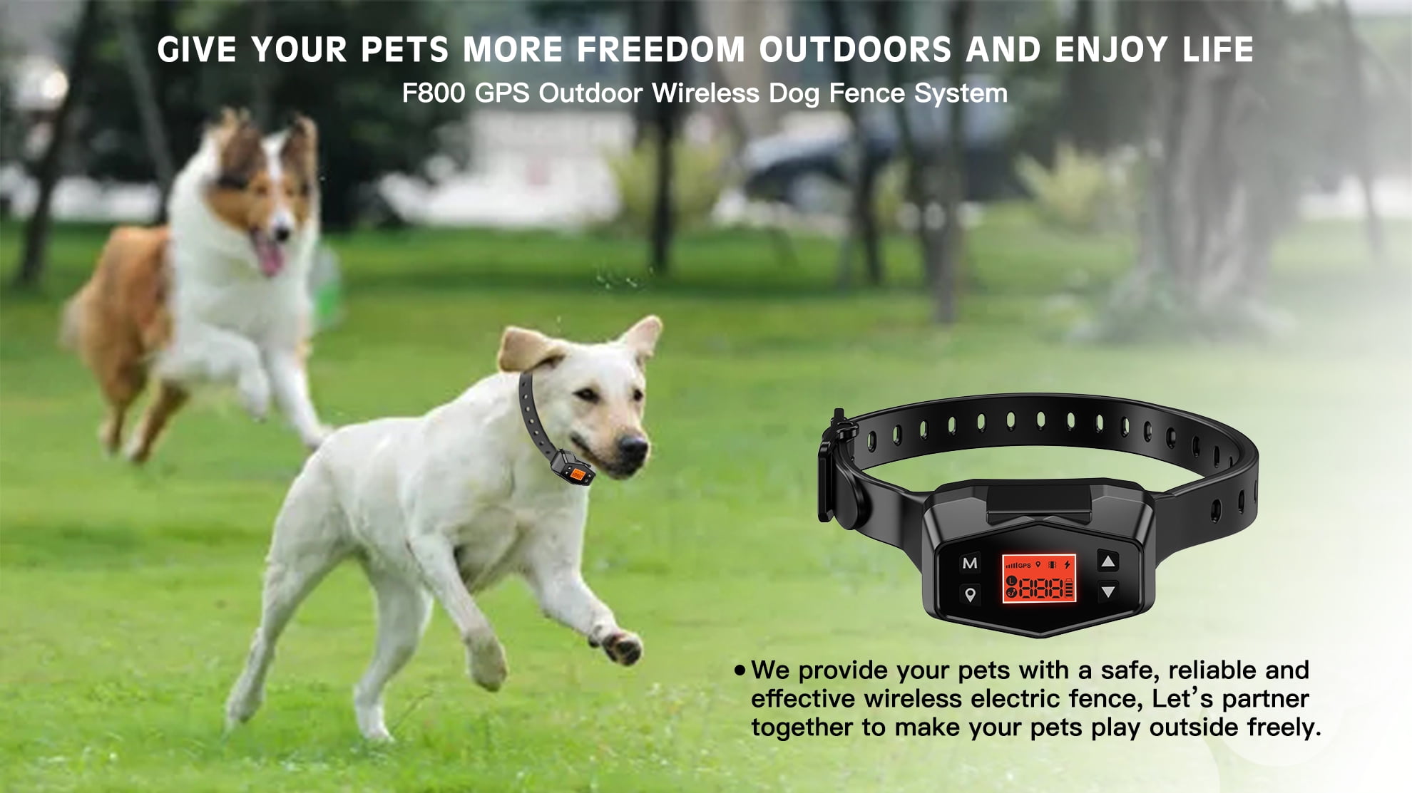 GPS Wireless Dog Fence Containment System Rechargeable Shock Training