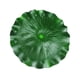 thumbnail image 2 of Lotus Lotus hoja realista Fishpond Lotus Leaf Fish Tank Decoration HOMEMAXS 13615718-MX, 2 of 6