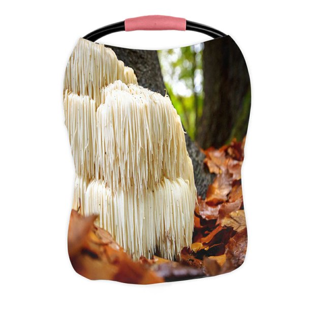 Abphqto The Rare Edible Lion's Mane Mushroom Nursing Cover Baby  Breastfeeding Infant Feeding Cover Baby Car Seat Cover Infant Stroller  Cover Carseat Canopy Breathable - Walmart.com