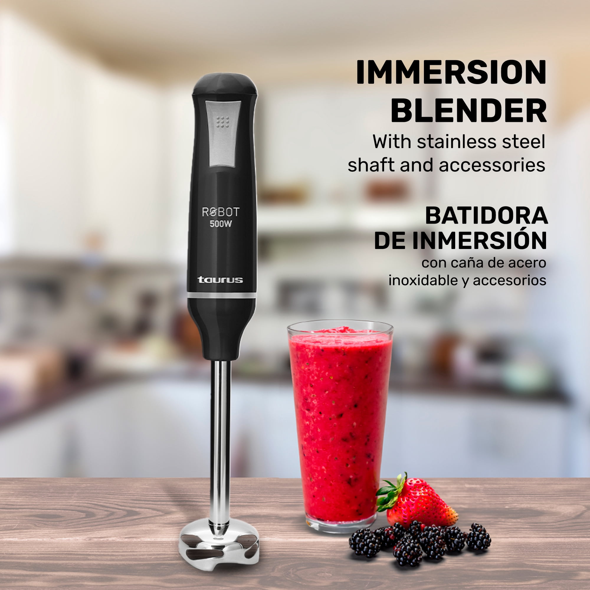 Immersion Blender - Robot 500 Inox Complete