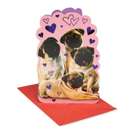 American Greetings Funny Funny Valentine's Day Card for Anyone (Pugs & Kisses)