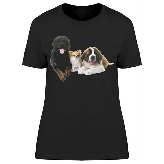 3 Dogs Laid Down T-Shirt Women -Image by Shutterstock, Female XX-Large