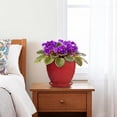 thumbnail image 6 of Ordivic 6 inch Glossy Red Round Ceramic Planter with Drainage Hole & Saucer, Flower Pot for Christmas Cactus, Orchids, Succulents, Indoor House Plants, Home Windowsill Holiday Decor, 6 of 7