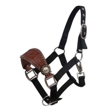 Showman Bronc Style Nylon Rope Halter w/ Filigree Print Noseband (Brown ...