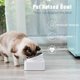 thumbnail image 3 of Comedero para perros y gatos ACTIVE Biensenido 200x185x110MM Blanco, 3 of 4
