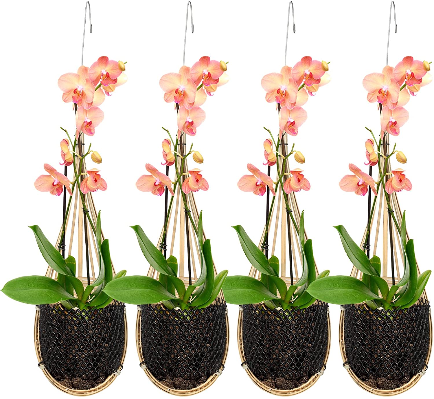 Hanging Orchid Planter,4 Pack Orchid Planter Thai Bamboo Woven 5 Inch