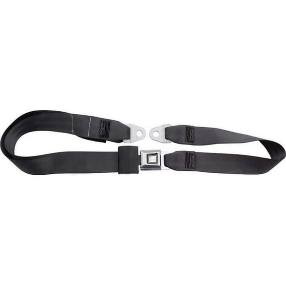 2-Point Seat Belt, Charcoal