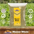 thumbnail image 4 of Rani Masoor Whole (Green Lentils Whole With Skin) 64oz (4lbs) 1.81kg Bulk ~ All Natural | Vegan | Gluten Friendly | Non-GMO | Kosher | Product of USA, 4 of 8