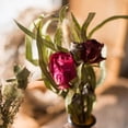thumbnail image 5 of Dried Flower and Glass Bottle Gift Set, 5 of 17