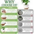 thumbnail image 5 of 8/10/12 Inch Self Watering Pots for Indoor/Outdoor Plants - Large Plastic Planter with Drainage Holes, Water Level Indicator & Deep Reservoir, Modern Decorative Flower Pots (White), 5 of 7
