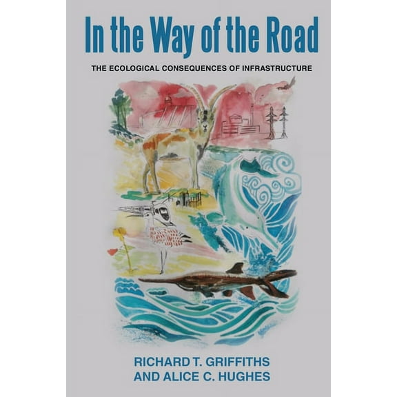 In the way of the Road: The Ecological Consequences of Infrastructure (Paperback)