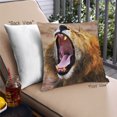 thumbnail image 1 of Ahgly Company Animals Lion Oreiller Extérieur 18 Pouces par 18 Pouces, 1 of 6