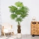 thumbnail image 4 of Plantas verdes simuladas de 160 cm, palmeras en maceta, árboles artificiales, decoraciones y adornos for ventanas de sala de estar interior., 4 of 4