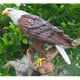 thumbnail image 2 of Estatua de estatuilla de águila de resina, modelo de de águila artificial, juguete para niños marrón shamjiam Lawn Eagle Figurine Statue, 2 of 8