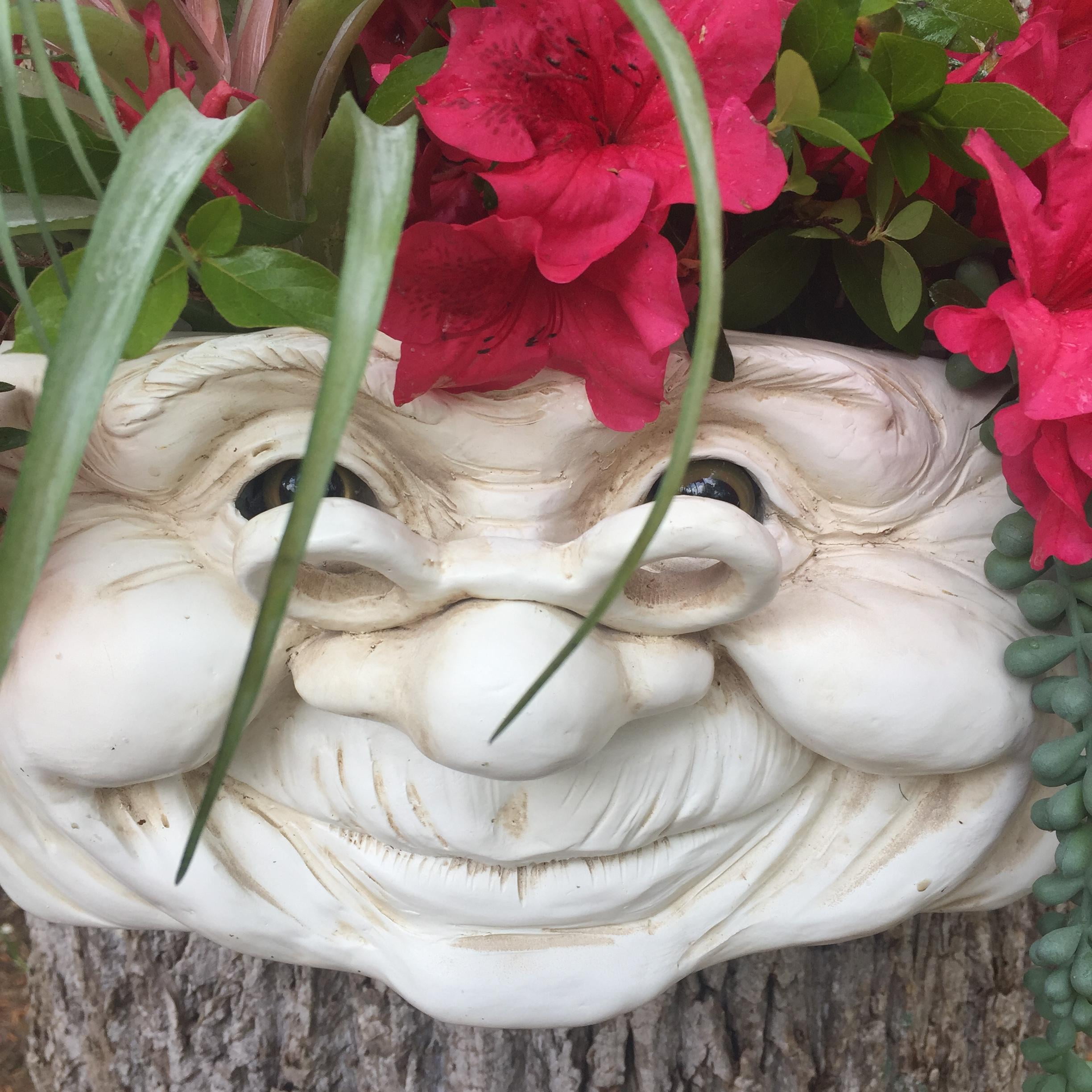 Homestyles Grandma "Violet" Muggly Face Garden Statue Tree & Patio Wall Planter