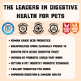 thumbnail image 4 of Boss Dog Freeze Dried Meal Probiotic Grain Free Dog Food, Toppers, Treats, Chicken 12oz, 4 of 10