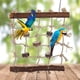 thumbnail image 3 of Columpio para pájaros, jaula para pájaros, loros, escalera para pájaros, escalera de cuerda para pájaros construida para el futuro, 1 ud., 3 of 8