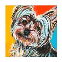 Trademark Fine Art Carolee Vitaletti Sweet Yorkie Ii Canvas Wall Art - 14x14