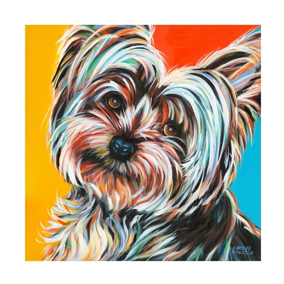 Trademark Fine Art Carolee Vitaletti Sweet Yorkie Ii Canvas Wall Art - 14x14