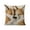 D, variant on Wdhugt Fun Animal Printed Pillow Cover For Bedroom And Living Room 45X45Cm 17.7X17.7In Decorative Cushion Cover Without Insert Style B 3Crfb8375 (3) B