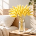thumbnail image 4 of chaungfeng 17" Artificial Bunny Tails Dried Flowers, 20 Pcs Faux Dried Lagurus Ovatus, Dried Yellow Pampas Grass Decor for Farmhouse Flower Arrangements Wedding Home Boho Party Decorations, 4 of 8