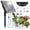 Digital Display Irrigation System-15 Pot, variant on 49FT Solar Drip Irrigation System Auto Watering Kit for 15 Pots, Solar-Powered Plant Watering Garden Irrigation System