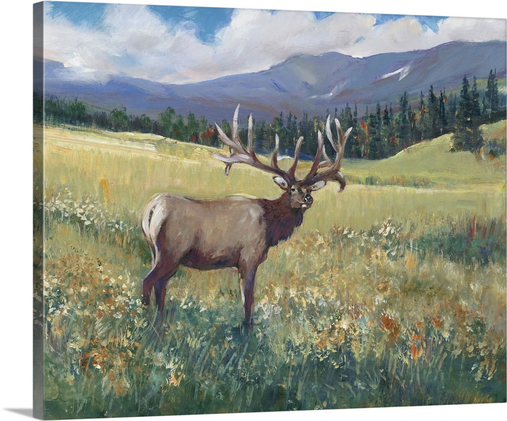 Rocky Mountain Elk I Canvas Wall Art, Cabin/Lodge Home Decor 20x16