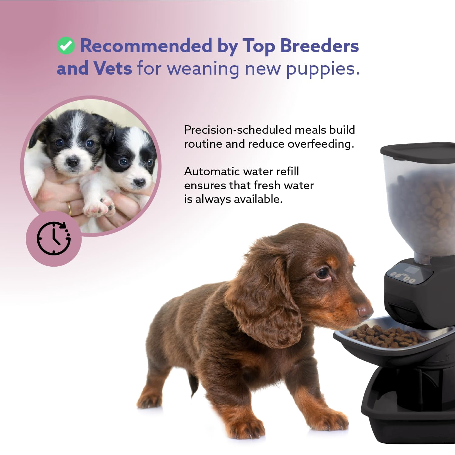 Feeding Friend® Automatic Dog & Cat Food Feeder with Water Dispenser Smart Pet Feeder with Portion Control, OLED Display, Anti Jam Design, Battery Operated Dispenser for Small XS  4-15 lbs Pets Black