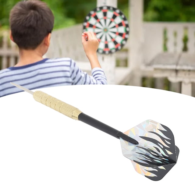 Ensemble de Fléchettes à Embout en Acier, Fléchettes Professionnelles en Métal avec Étui de Rangement